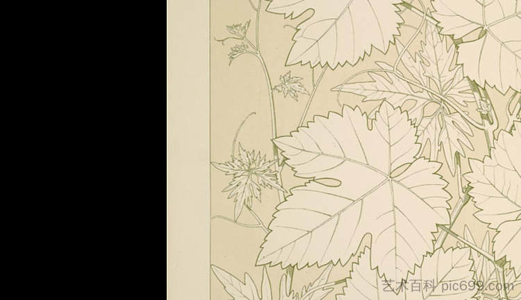 自然装饰品2号的叶子和花朵。藤叶，全尺寸 Leaves and Flowers from Nature Ornament no. 2. Vine-leaves, full size，欧文·琼斯