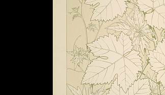 自然装饰品2号的叶子和花朵。藤叶，全尺寸 Leaves and Flowers from Nature Ornament no. 2. Vine-leaves, full size，欧文·琼斯