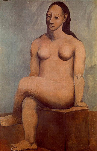跷二郎腿裸体坐着 Seated nude with her legs crossed (1906)，巴勃罗·毕加索