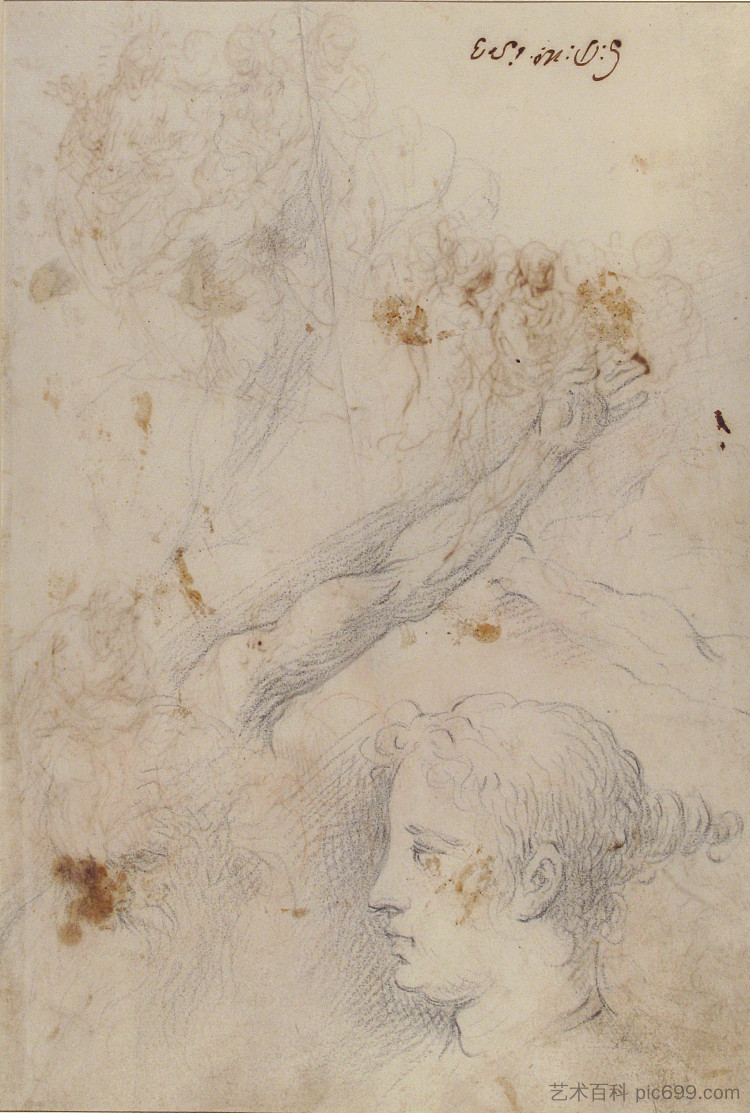 研究手臂，以及老人和年轻女子的头部 Studies of an Arm, and of the Heads of an Old Man and Young Woman (1628)，Palma il Giovane