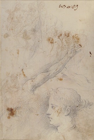 研究手臂，以及老人和年轻女子的头部 Studies of an Arm, and of the Heads of an Old Man and Young Woman (1628)，Palma il Giovane