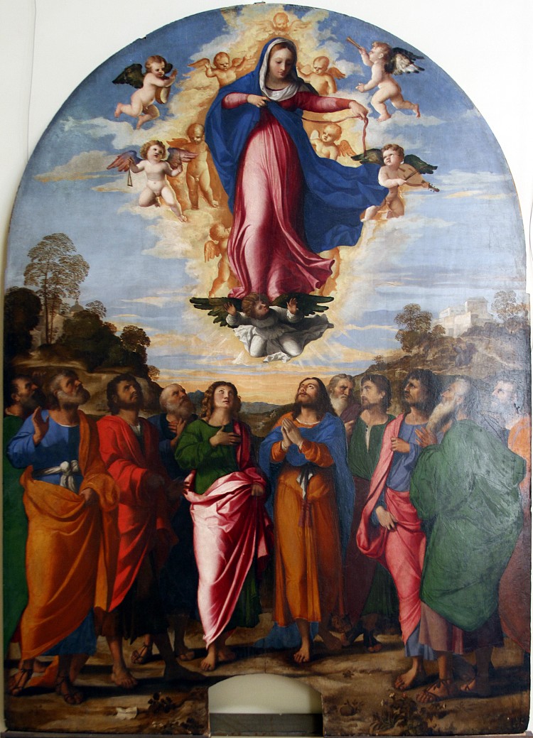 圣母升天 Assumption of the Virgin (1512 - 1514)，老棕榈