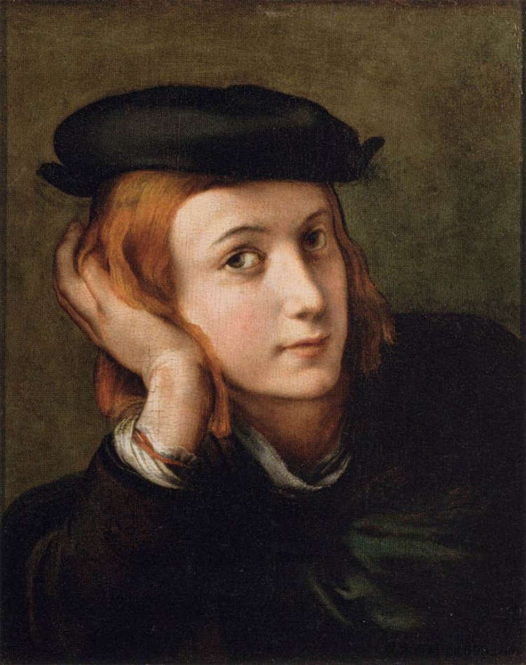 一个年轻人的肖像 Portrait of a Young Man (1525),帕米贾尼诺