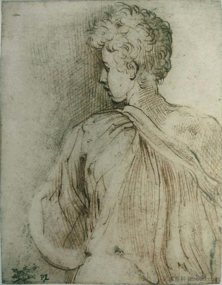 从后面看到的年轻人,脸在侧面 Young man seen from behind, face in profile (c.1520),帕米贾尼诺