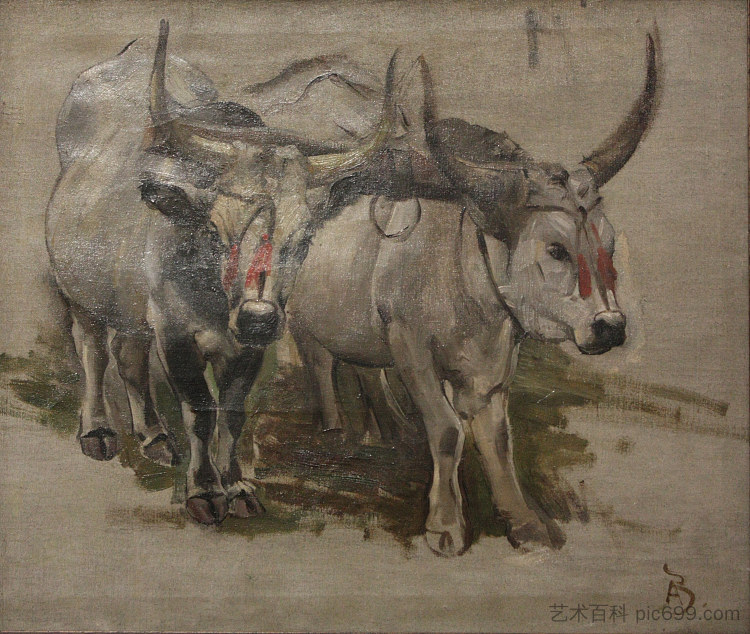 Zebu 在印度的搭便车,学习 Attelage De Zébus En Inde, Étude,保罗-阿尔伯特·贝斯纳德