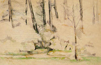 在树林里 In the Woods (1894)，保罗·塞尚