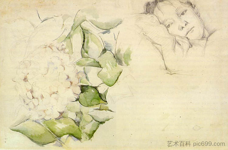 塞尚夫人与霍滕西亚斯 Madame Cezanne with Hortensias (1885),保罗·塞尚