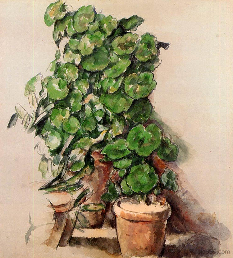 天竺葵盆栽 Pots of Geraniums (c.1888),保罗·塞尚