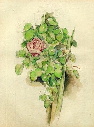 玫瑰布什 Rose Bush (c.1888)，保罗·塞尚