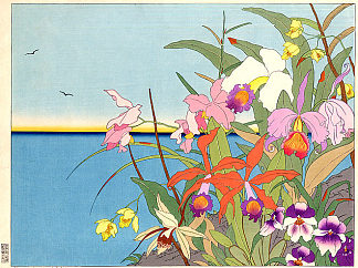 来自遥远岛屿的花朵。南海 Fleurs Des Iles Lointaines. Mers De Sud (1940)，保罗贾克勒
