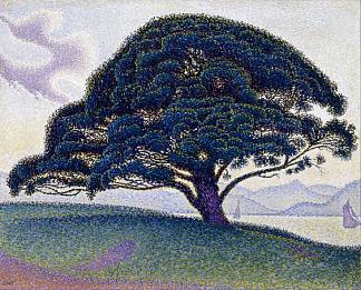 博纳旺蒂尔松树 The Bonaventure Pine (1893)，保罗·西涅克