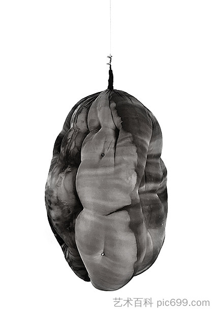 茧 Cocoon (2017; Rio de Janeiro,Brazil  )，宝拉·克利恩