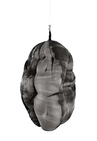 茧 Cocoon (2017; Rio de Janeiro,Brazil                     )，宝拉·克利恩