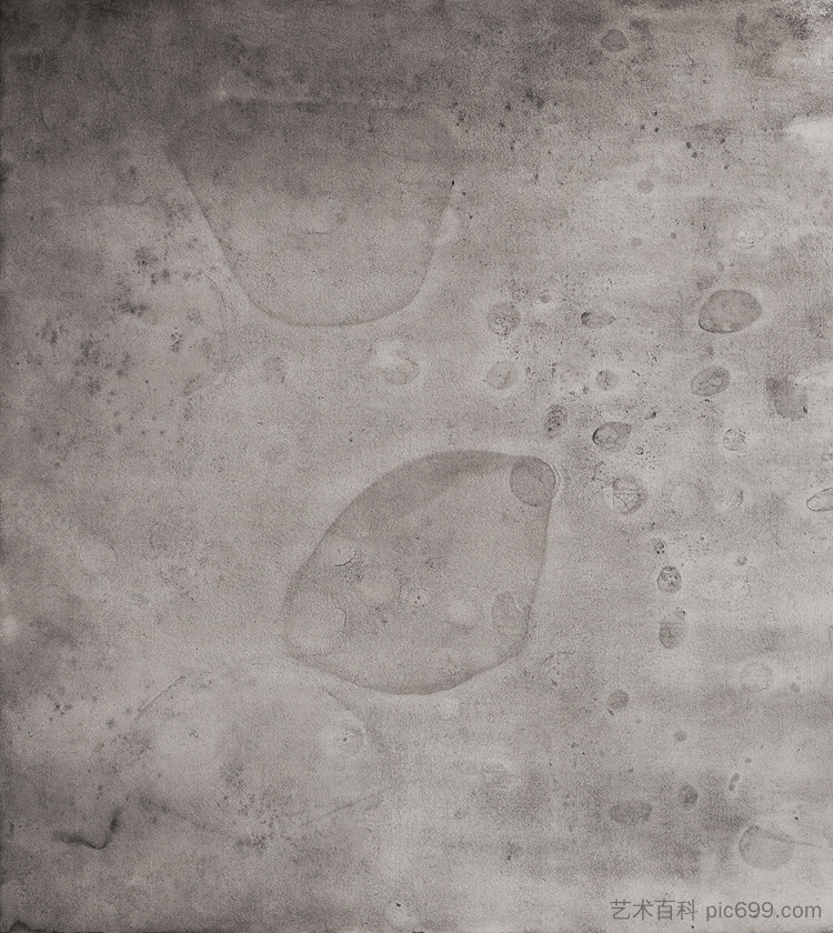 胚胎 3 Embryos 3 (2018)，宝拉·克利恩