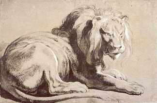 狮子研究 Study of a Lion (c.1620)，彼得·保罗·鲁本斯