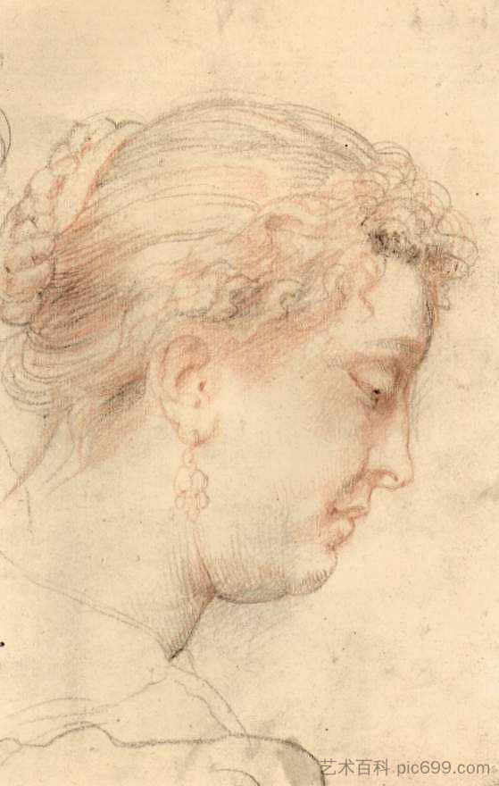 女头 Head of woman (c.1630 - c.1632)，彼得·保罗·鲁本斯