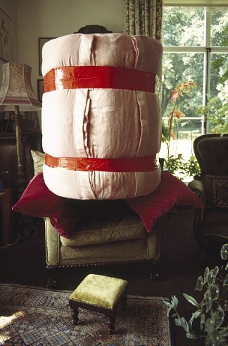 扶手椅的物品 Object for an armchair (1994)，菲利达·巴洛