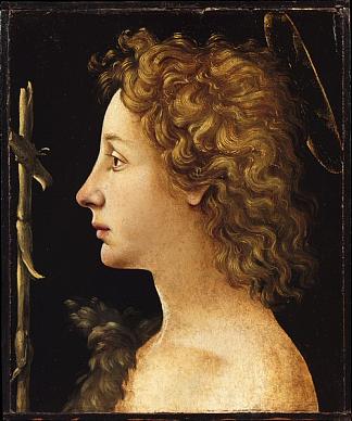 年轻的施洗者圣约翰 The Young Saint John the Baptist (1480)，皮耶罗·迪·科西莫