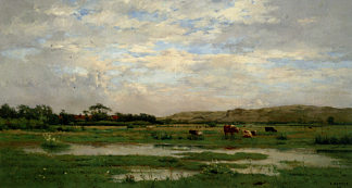 被洪水淹没的草地/加来海峡 Prairies inondees /­ Pas de Calais (1880)，皮埃尔伊曼纽尔达摩耶