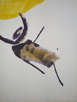 昆虫 Insecte (1972)，皮埃尔·塔尔-科特