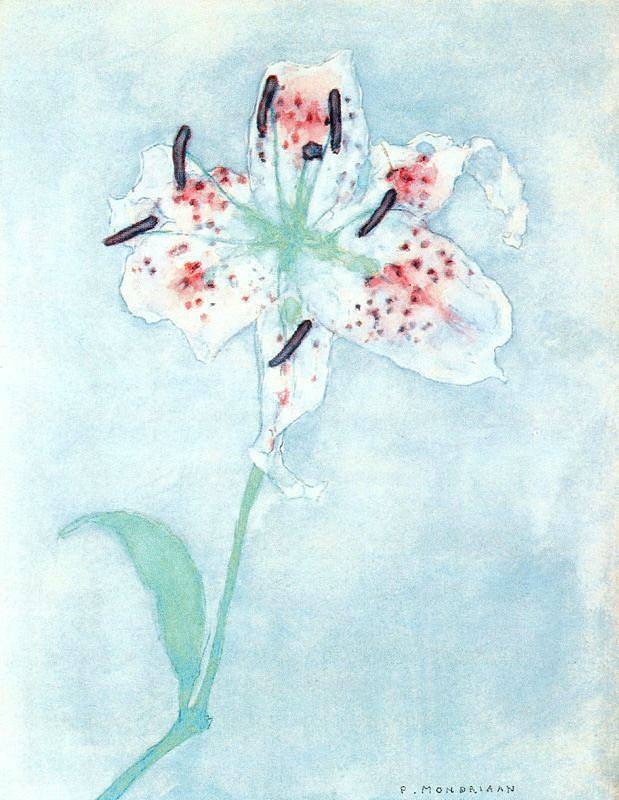 百合 Lily (1921)，皮特·蒙德里安