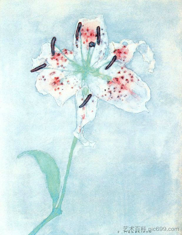 百合 Lily (1921)，皮特·蒙德里安