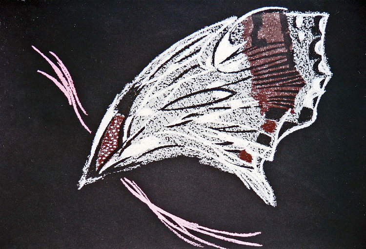 蝴蝶 Butterfly (1980)，皮罗斯卡