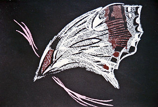 蝴蝶 Butterfly (1980)，皮罗斯卡