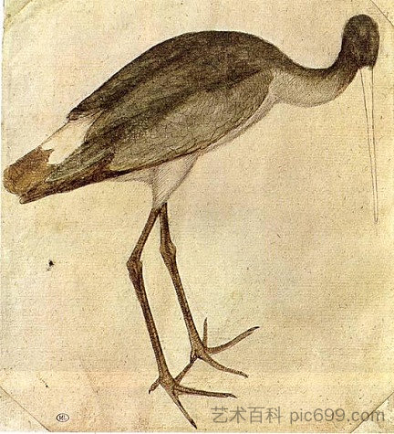 鹳 Stork (1430)，安东尼奥·皮萨内洛