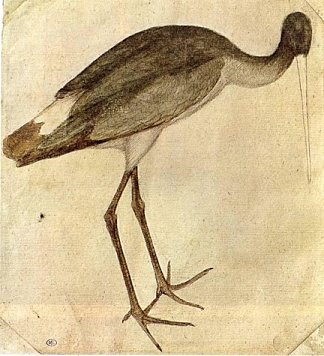 鹳 Stork (1430)，安东尼奥·皮萨内洛