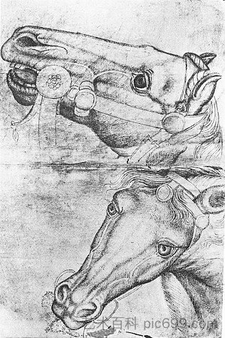 马头研究 Study of Horse Heads (1433)，安东尼奥·皮萨内洛