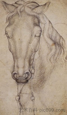 马头研究 Study of the Head of a Horse (1439)，安东尼奥·皮萨内洛