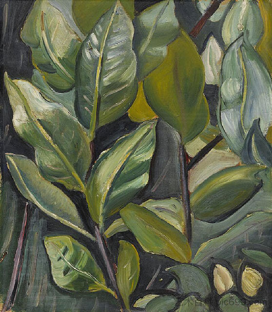 树叶（芭芭拉肖像研究） Leaves (Study for Portrait of Barbara) (1933)，普鲁当斯·赫沃德