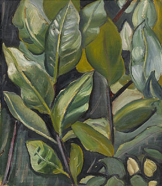 树叶（芭芭拉肖像研究） Leaves (Study for Portrait of Barbara) (1933)，普鲁当斯·赫沃德