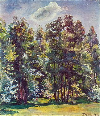 桤木逆着太阳 Alder against the sun (1932)，孔科洛夫茨基