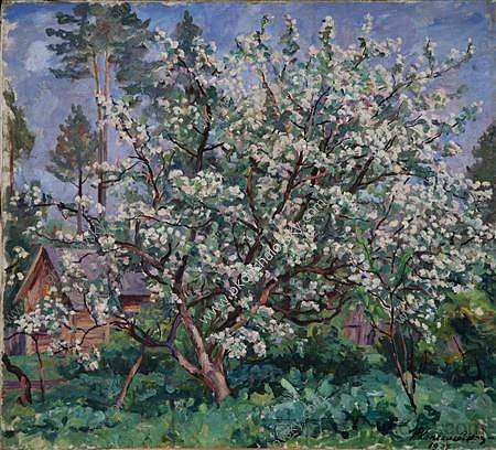 盛开的苹果树 Apple tree in bloom (1937)，孔科洛夫茨基