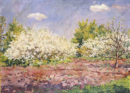 樱花 Cherry blossoms (1953)，孔科洛夫茨基