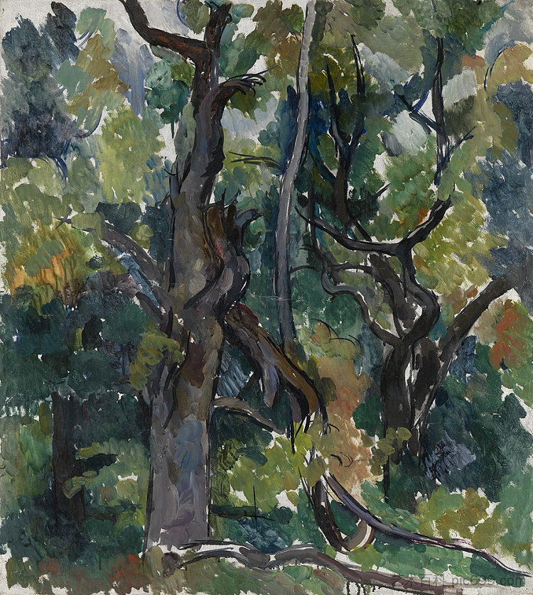 橡树 Oak tree (1921)，孔科洛夫茨基