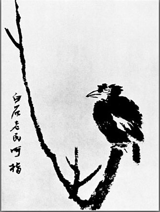 树上的鸟 Bird in a tree (1895)，齐白石