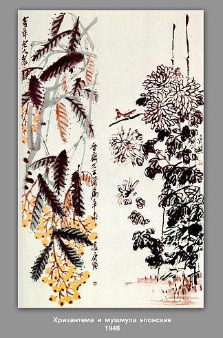 菊花和枇杷 Chrysanthemum and loquat (1948)，齐白石