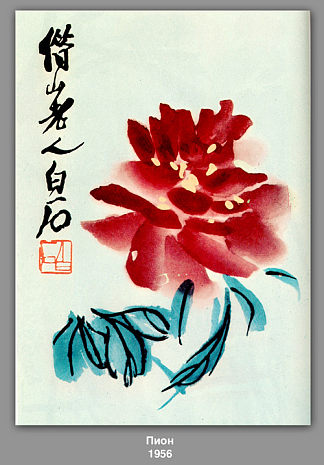 牡丹 Peony (1956)，齐白石