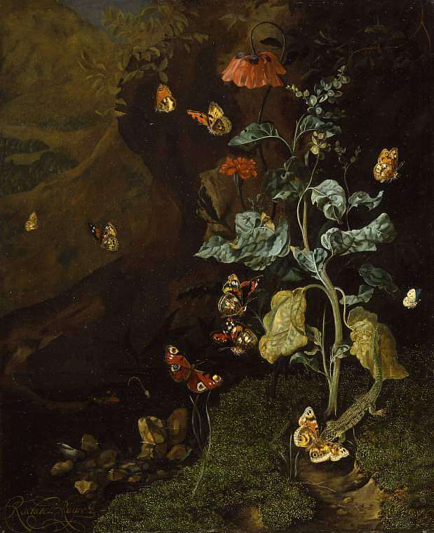 树林里的昆虫和蜥蜴 Insects and a Lizard in a Wood (1684)，雷切尔·鲁伊希