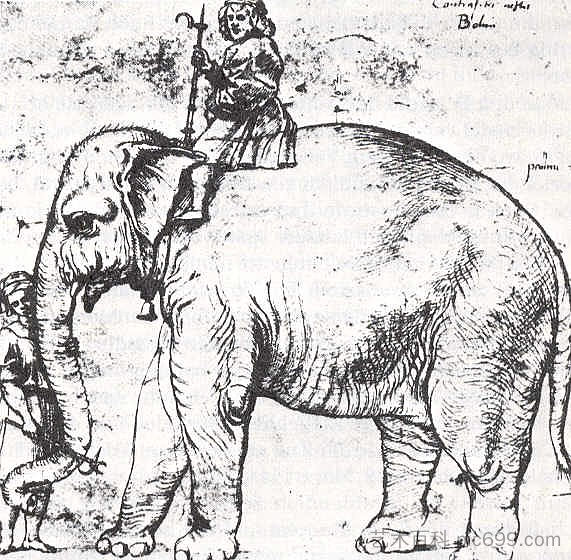 汉诺,教皇的狮子座X大象 Hanno, The Pope’s Leo X Elephant (1514 - 1516),拉斐尔