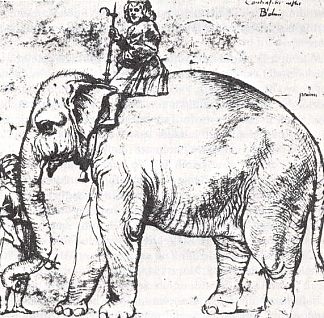 汉诺，教皇的狮子座X大象 Hanno, The Pope’s Leo X Elephant (1514 – 1516)，拉斐尔