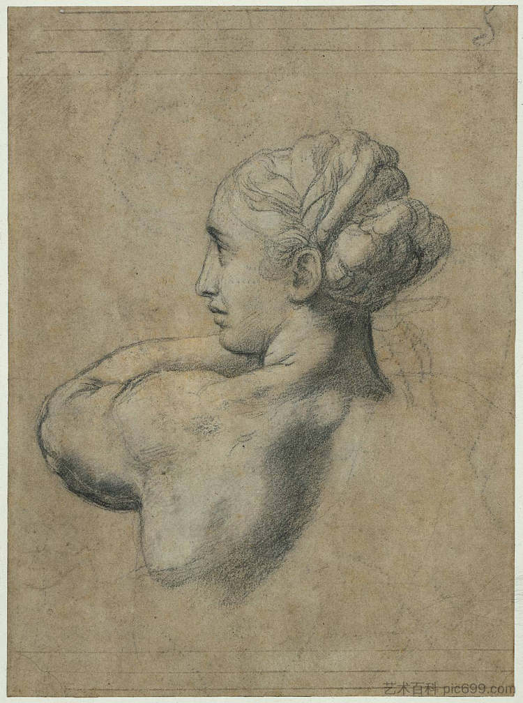 一个女人的头 Head of a Woman (c.1517 - 1520),拉斐尔