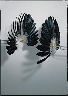 乌鸦的双胞胎 The Raven’s Twin (1997)，丽贝卡·霍恩