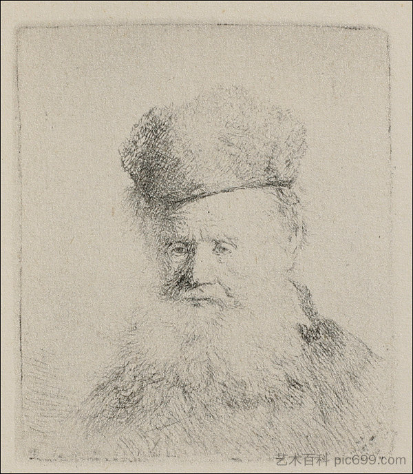 留着大胡子和低毛帽的男人 A Man with a Large Beard and a Low Fur Cap (1631)，伦勃朗