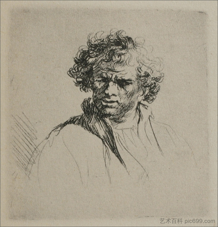 卷发的男人 A Man with Curly Hair (1635)，伦勃朗