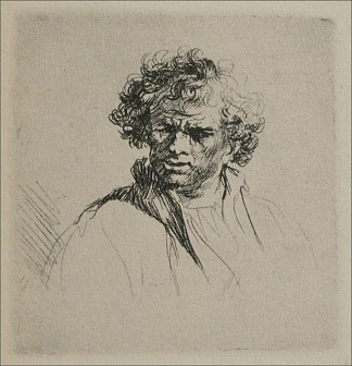 卷发的男人 A Man with Curly Hair (1635)，伦勃朗