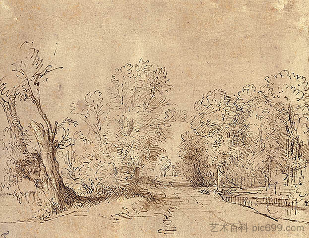 林荫大道 A Wooded Road (1650)，伦勃朗